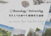 山东理工大学录取批次，山东理工大学是几本院校