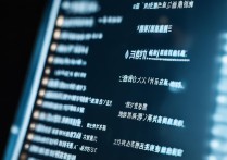 梅捷主板bios设置中文