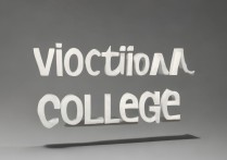 职业学院英语单词怎么说，职业学院英语怎么读？