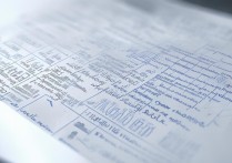 广东有哪些专科学校录取分数线仅300分左右？