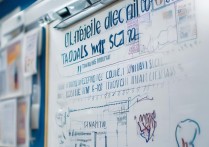 大学专项录取分数是多少？2026 年各高校专项计划录取分数线查询