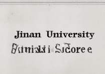 济南大学录取分数线