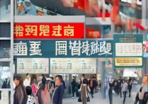 郑州3+2学校排名怎么样，中国最自由的专科学校有哪些？