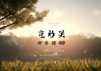 影开头的四字成语