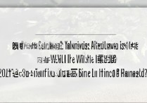 怎么查询扬州大学美术录取结果？2024录取分数线何时公布？