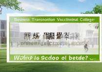 商务翻译职业学院怎么样，哪个学校比较好？