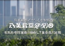 上海视觉大学江西录取分数是多少？上海视觉大学江西录取分数线