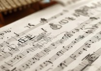 浙江音乐学院2017分数线是多少，录取分数线查询