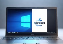 win双系统