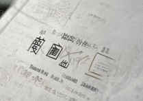 天津师范大学录取结果查询，如何快速准确获取我的录取信息？