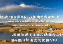 青海专科分数线是多少？青海高考专科录取分数线最低多少分