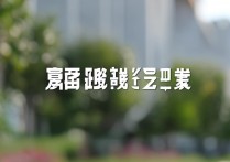 河南大学2019录取分数线是多少，河南大学2019录取结果查询时间