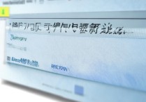 怎么查看大学录取情况，大学录取结果查询入口在哪里