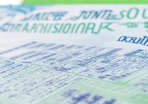 2017武冈市小升初录取分数线是多少，武冈小升初分数线查询