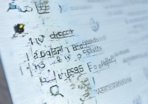 如何查录取大学？大学录取结果查询入口在哪里