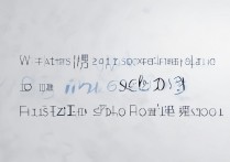 莘州中学 2017 年分数线是多少？2017 年莘州中学录取分数线