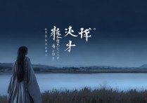 怅然若失成语
