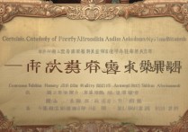 中央美术大学录取标准是什么？2026 年中央美术学院录取分数线多少