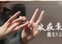 哑巴打手势打一成语