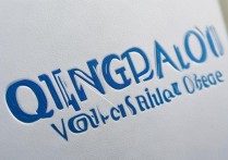 青岛职业学院编号背后有何特殊含义？揭秘编号背后的故事与意义。