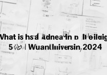 2024年武汉大学北京录取名次是多少？ | 最新录取分数线排名查询