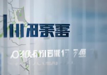 周至2017年中考分数线是多少，周至中考录取分数线查询