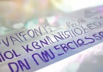 聊城大学模拟录取怎么查？2026录取分数线预测