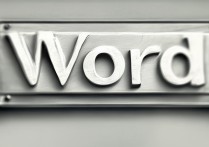 word怎么看字数