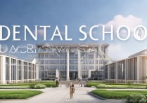 德国牙医专科学校排名前十？达姆施塔特工业大学相当于国内什么学校？