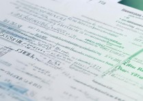 广东双高计划专科学校排名有哪些？最新榜单是多少？