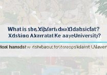 喀什大学新疆录取分数线是多少？新疆考生多少分能上喀什大学