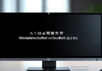 显卡驱动就黑屏