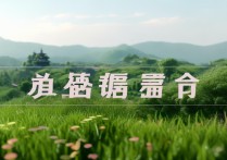 江西专升本录取率