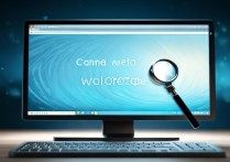 xp系统网页打不开