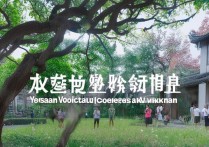 云南专科学校排名如何，云南省好的专科学校有哪些