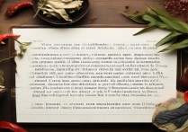 一张照片作文