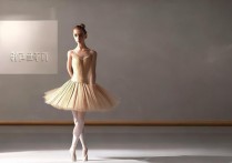 舞蹈专业多少分能上？|广西民族大学舞蹈录取分数线一览