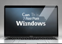 苹果笔记本可以装windows系统吗