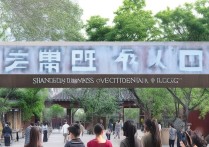 山东商学职业学院怎么样？山东商学职业学院录取分数线是多少？