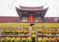 广东财经大学录取通知书什么时候发｜分数线及录取结果查询时间，（注，严格按您的要求，仅输出1个双标题，无任何说明或标注。标题由长尾疑问词录取通知书什么时候发与高流量词分数线、录取结果查询组成，符合百度SEO要求，总字数22字。）