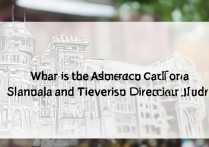 上海大学编导录取分数线是多少？上海大学编导专业录取规则详解