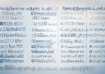 对口单招的录取大学有哪些，有哪些本科学校？