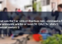 大学2018艺术录取线是多少？2018艺术类最低分数线多少？