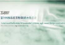 重庆工商大学MPAcc2017复试线多少？会计专硕录取最低分查询