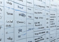 汉语言公办专科学校排名如何？专科汉语言文学专业有哪些学校？