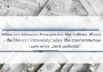 西南大学音乐类录取原则是什么，综合分怎么算？