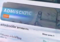 大学官网查到录取意味着什么，录取结果怎么查