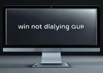 win不显示显卡