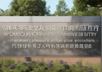 重庆师范大学录取入口在哪里，官方查询网址是哪个？