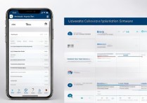 大学录取概率测试app准不准，高考志愿填报软件哪个好用